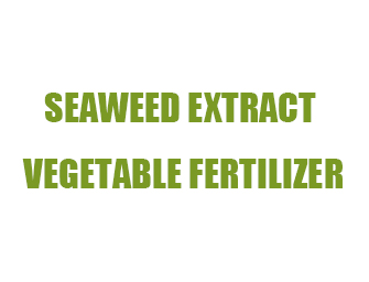 Seaweed extract vegetable fertilizer